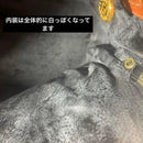 Fendi Handbag 2Way