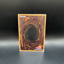 Yu -Gi -Oh! Ocg Duel Monsters Duad