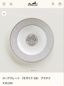 Hermes Dish 24
