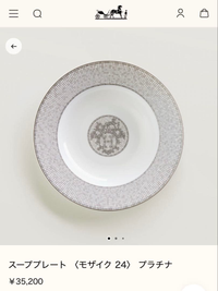 Hermes Dish 24