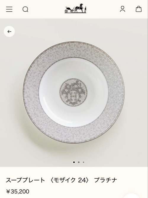 Hermes Dish 24
