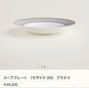 Hermes Dish 24