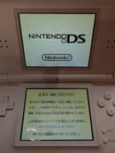 Nintendo Ds Consoles Lite Ok