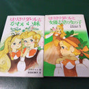 Literature Novel