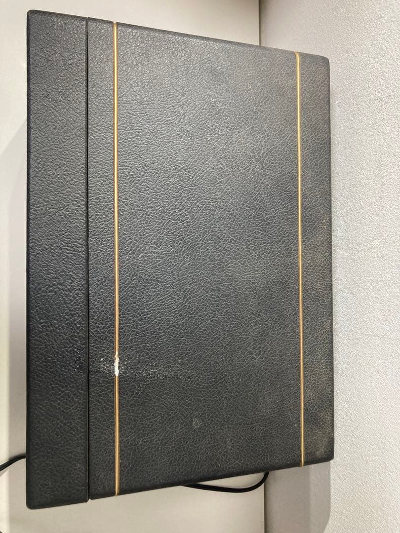 Other Ace Tone Echo Ec-10