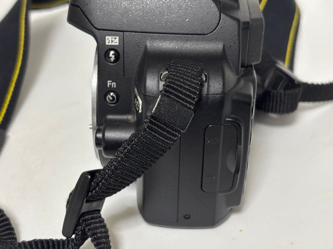 Digital Slrs Nikon D40