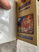 Game Capture Book