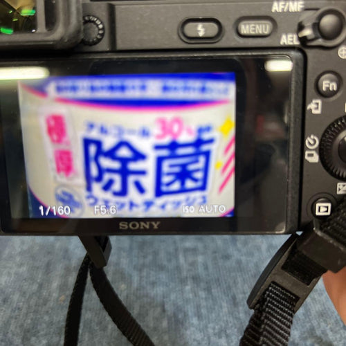 Sony Mirrorless Interchangeable Lens Cameras 6400