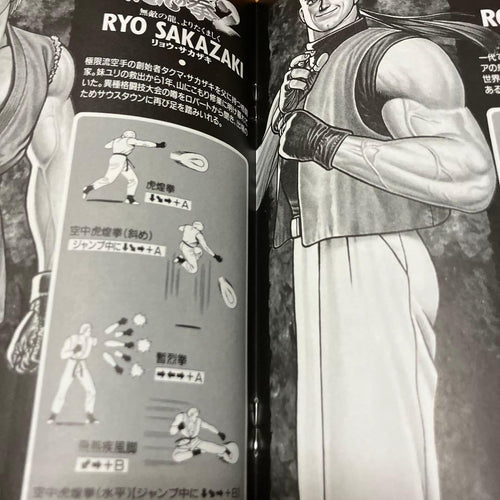 Snk Games Neogeo Art Of Fighting 2~