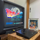 Snk Games Neogeo Art Of Fighting 2~