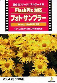 Others Flash Pix Vol.4