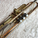 Yamaha Trumpet Body Ytr-3325 Gator