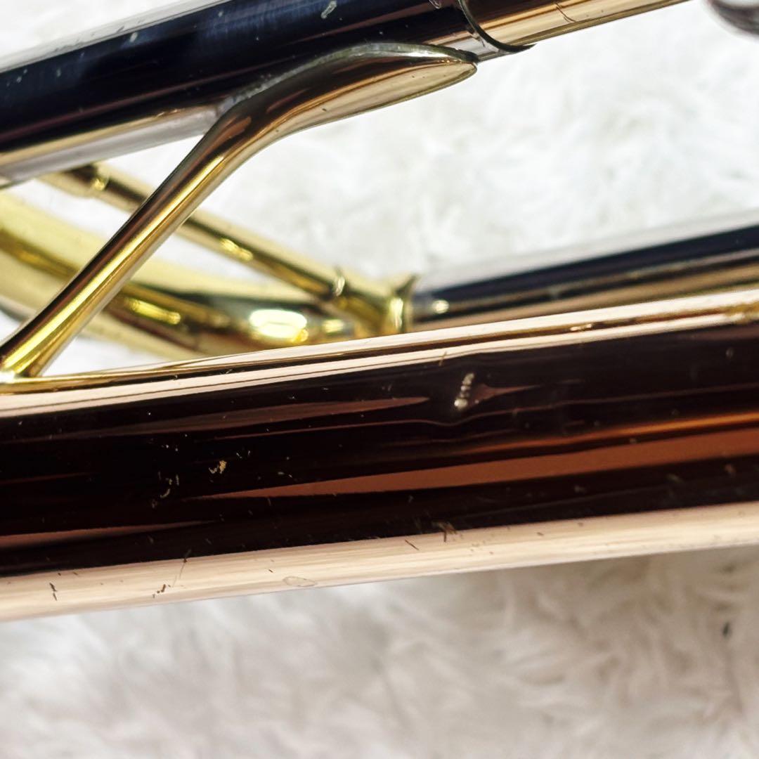 Yamaha Trumpet Body Ytr-3325 Gator