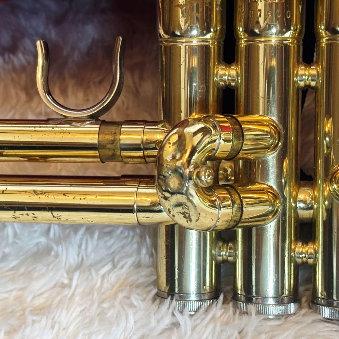 Yamaha Trumpet Body Ytr-3325 Gator