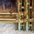 Yamaha Trumpet Body Ytr-3325 Gator