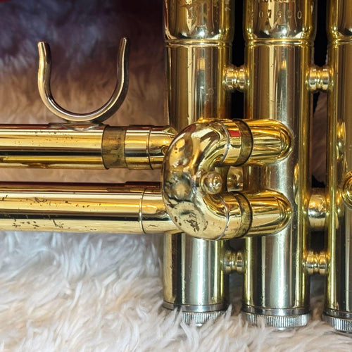 Yamaha Trumpet Body Ytr-3325 Gator