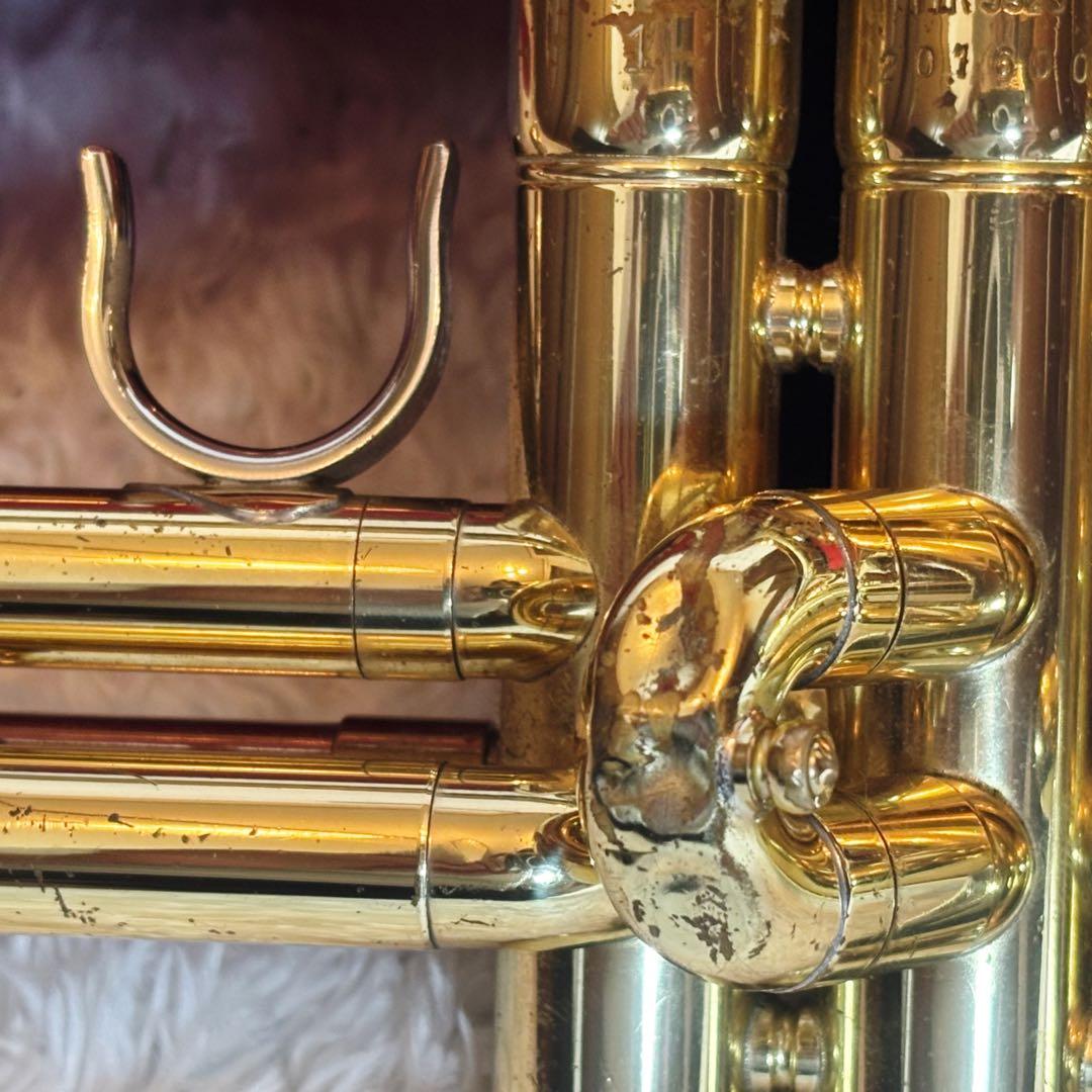 Yamaha Trumpet Body Ytr-3325 Gator