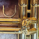 Yamaha Trumpet Body Ytr-3325 Gator