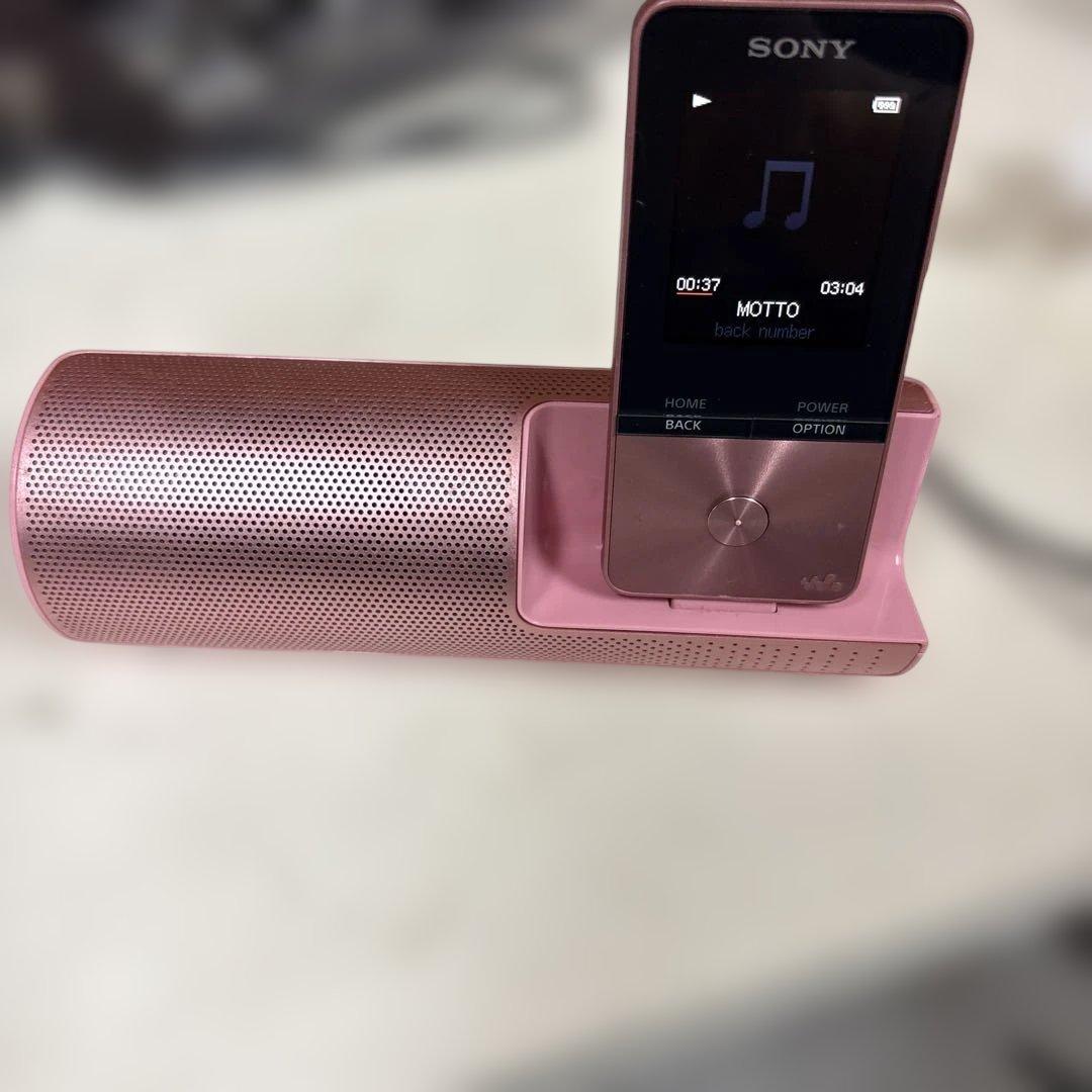 Digital Audio Player Sony Walkman Nw-S313