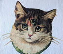 Undercover Sweatshirts Madstore 3Eyes Madcat