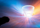 Strobe 8/13-17 Zy Ex1H33 Zhiyun