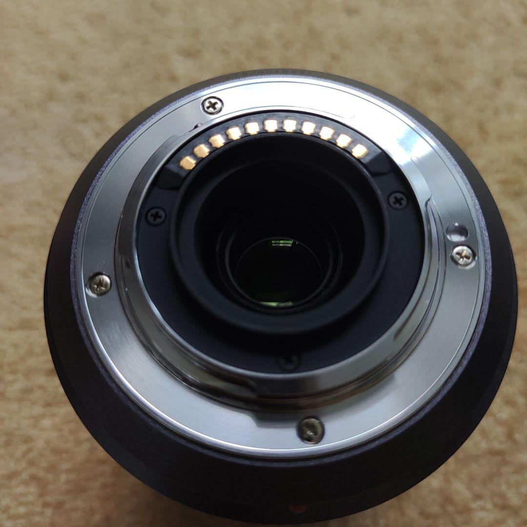 Panasonic Zoom Lenses Lumix G Vario 45-200Mm H-Fs045200