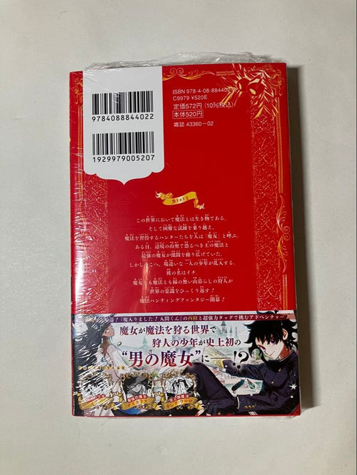 Sh Nen Manga 1
