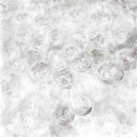 Cotton (Print) 110X1000 1M600