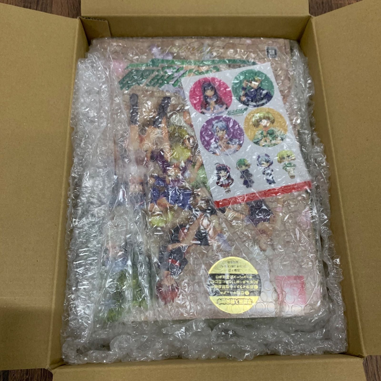 Software (Package Version)