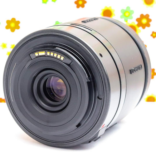 Canon Digital Slrs Kiss X