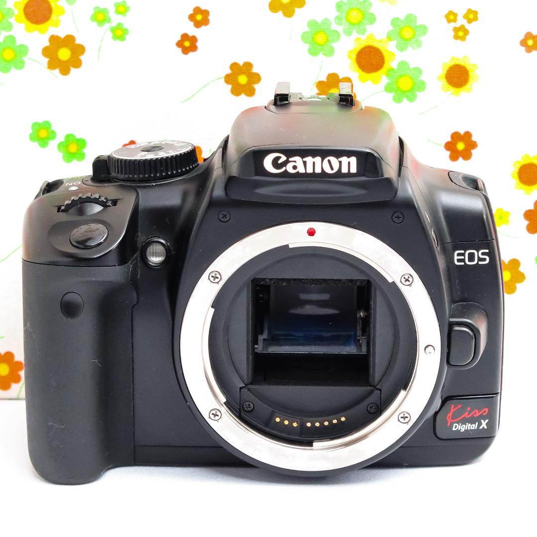 Canon Digital Slrs Kiss X