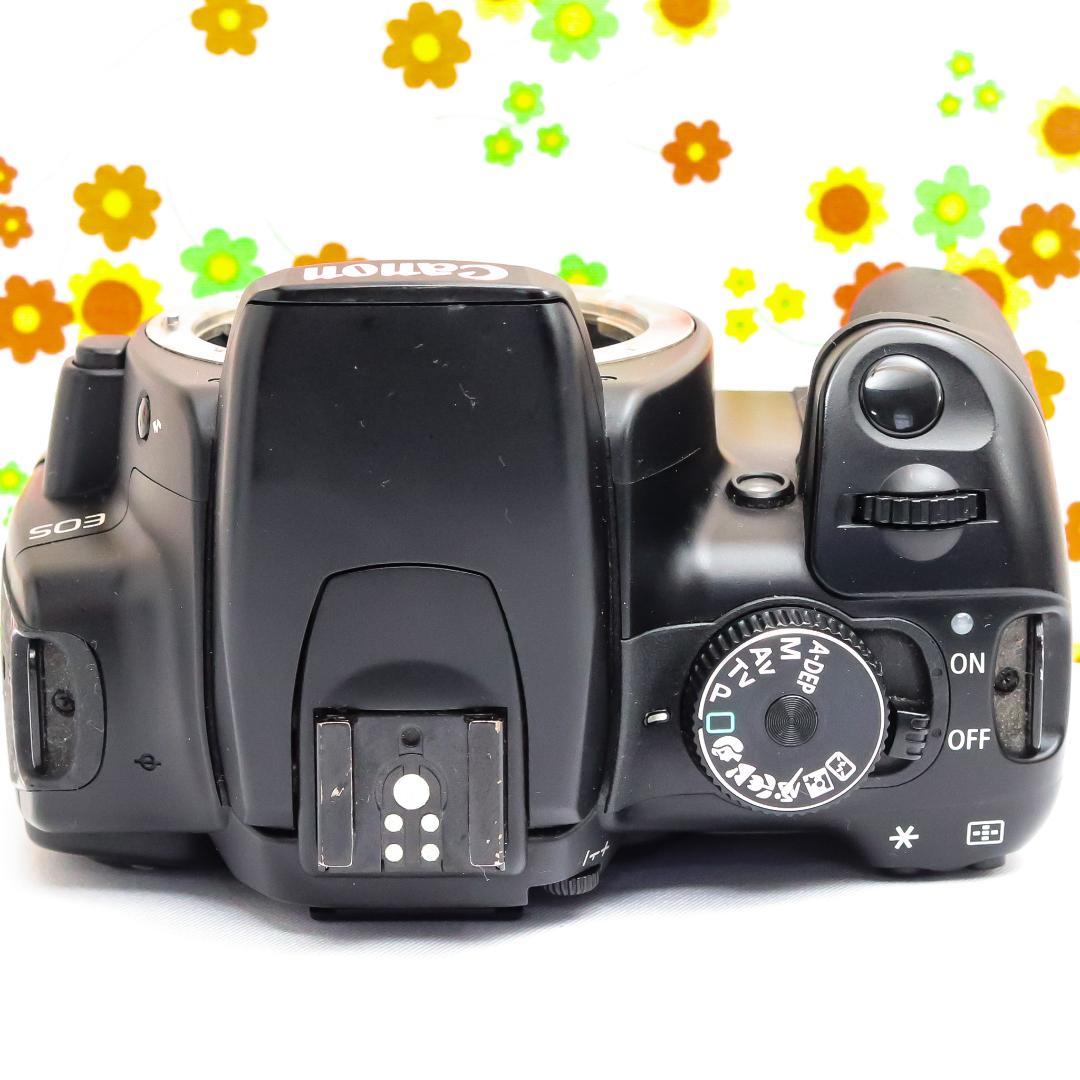 Canon Digital Slrs Kiss X
