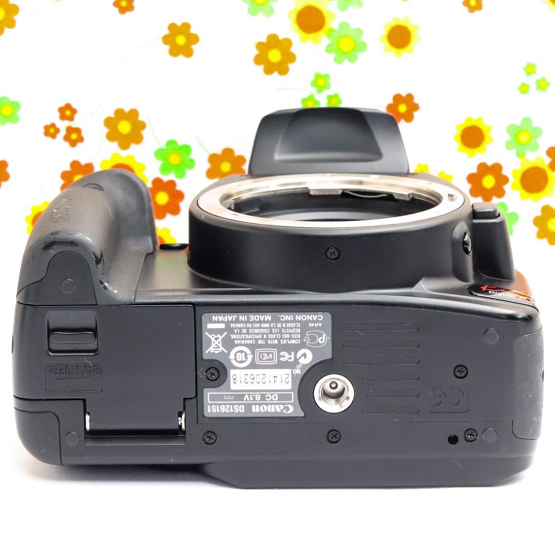 Canon Digital Slrs Kiss X