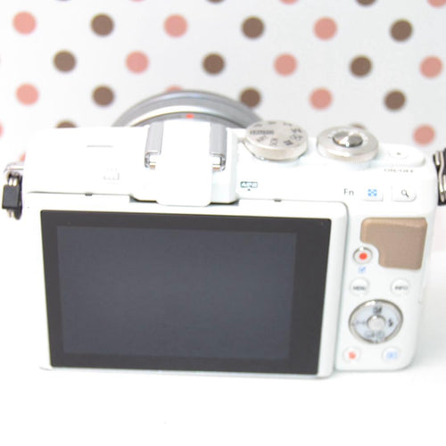 Olympus Mirrorless Interchangeable Lips Wi-Fi Pl7