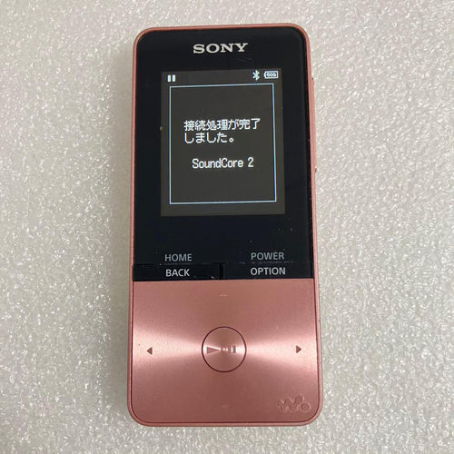 Sony Digital Audio Players Nw-S315