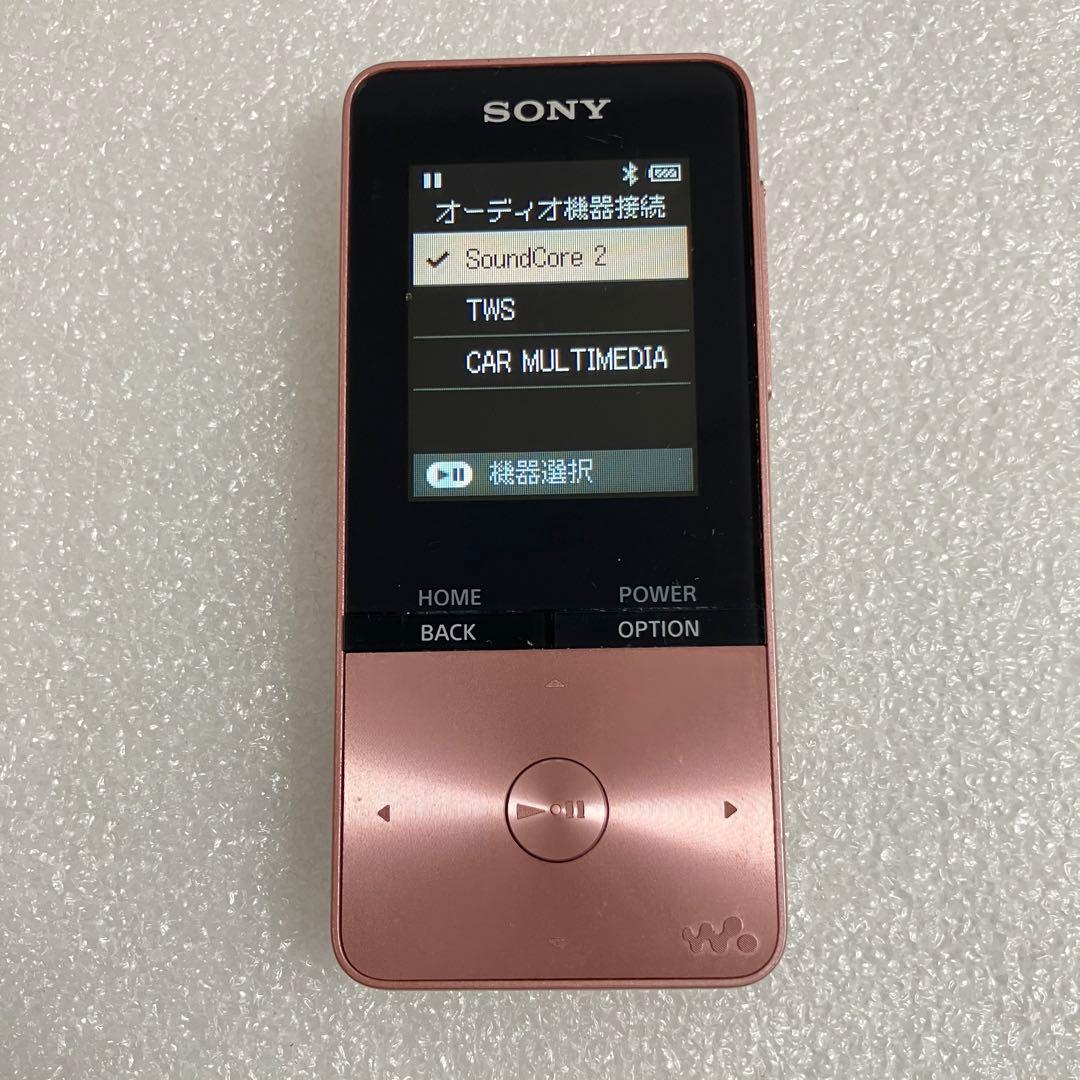 Sony Digital Audio Players Nw-S315