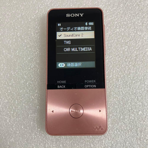 Sony Digital Audio Players Nw-S315