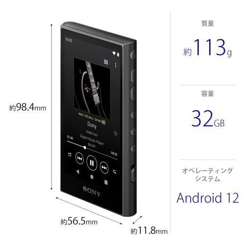 Digital Audio Player Walkman Nw-A306-B [32Gb]