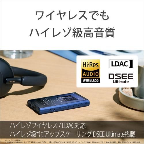 Digital Audio Player Walkman Nw-A306-B [32Gb]
