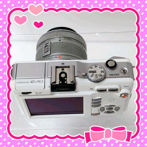 Olympus Mirrorless Interchangeable Lens Cameras E-Pl1 80424