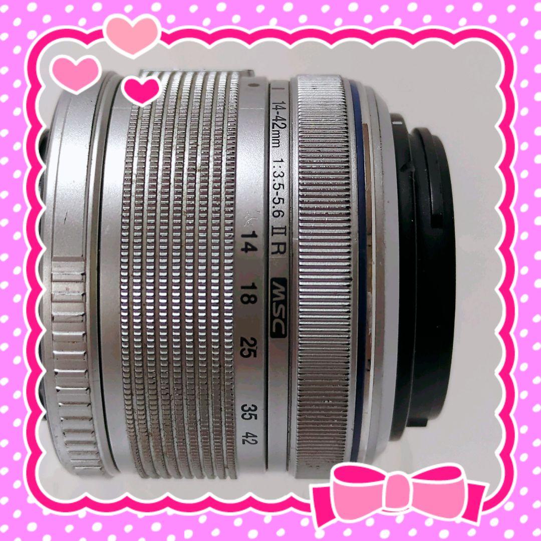 Olympus Mirrorless Interchangeable Lens Cameras E-Pl1 80424