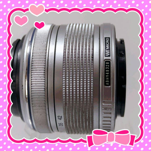 Olympus Mirrorless Interchangeable Lens Cameras E-Pl1 80424