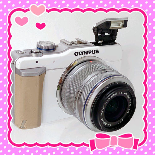 Olympus Mirrorless Interchangeable Lens Cameras E-Pl1 80424
