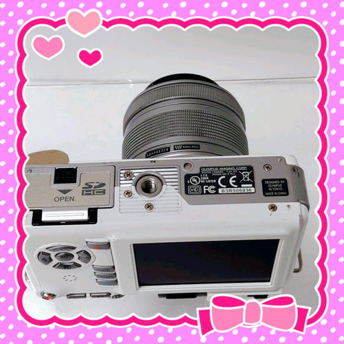 Olympus Mirrorless Interchangeable Lens Cameras E-Pl1 80424