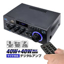 Power Amplifier 40W+40W 800W Lpak45