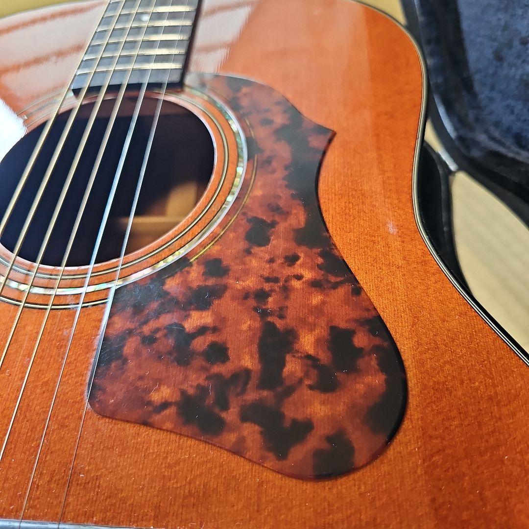 Yamaha Acoustic Guitars Morrs.W-52Made In