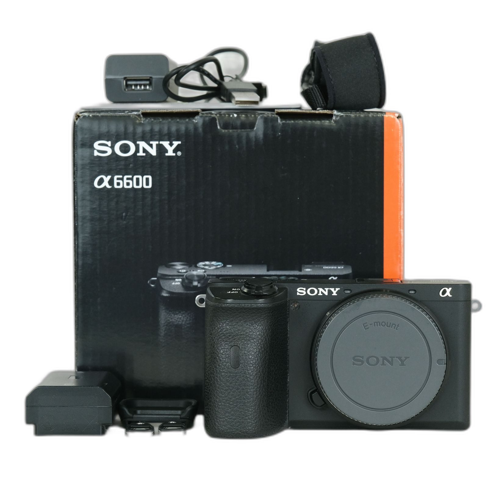Sony Mirrorless Interchangeable Lips 1,560 6600 Ilce-6600 E