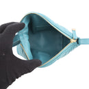 Handbag S5553Omig Christian Dior
