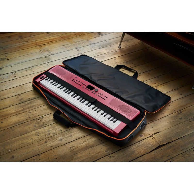 Roland Others 61 Cb-V61