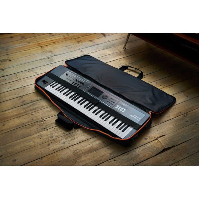 Roland Others 61 Cb-V61